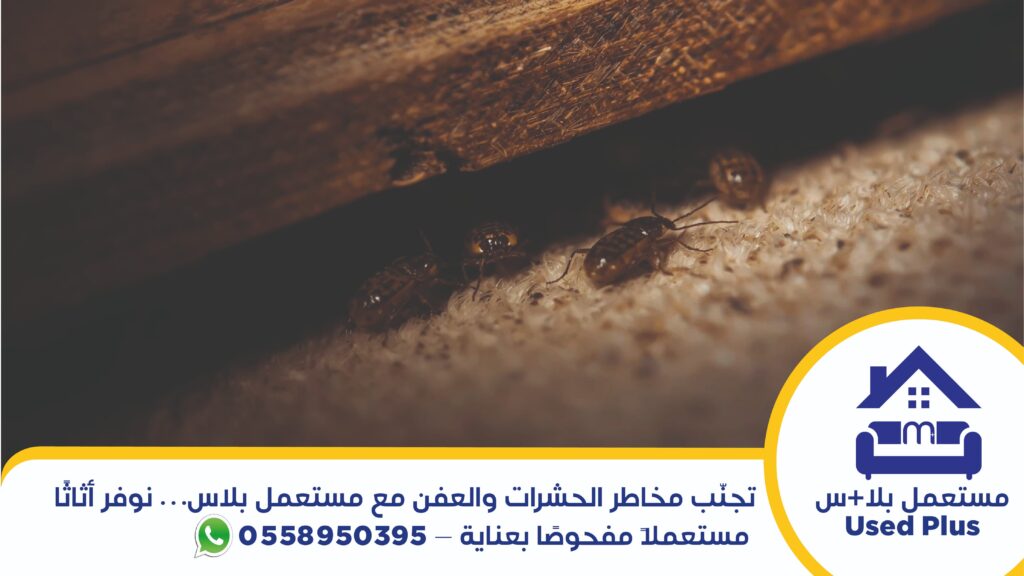 تجنب مخاطر العفن والحشرات عند شراء اثاث مستعمل